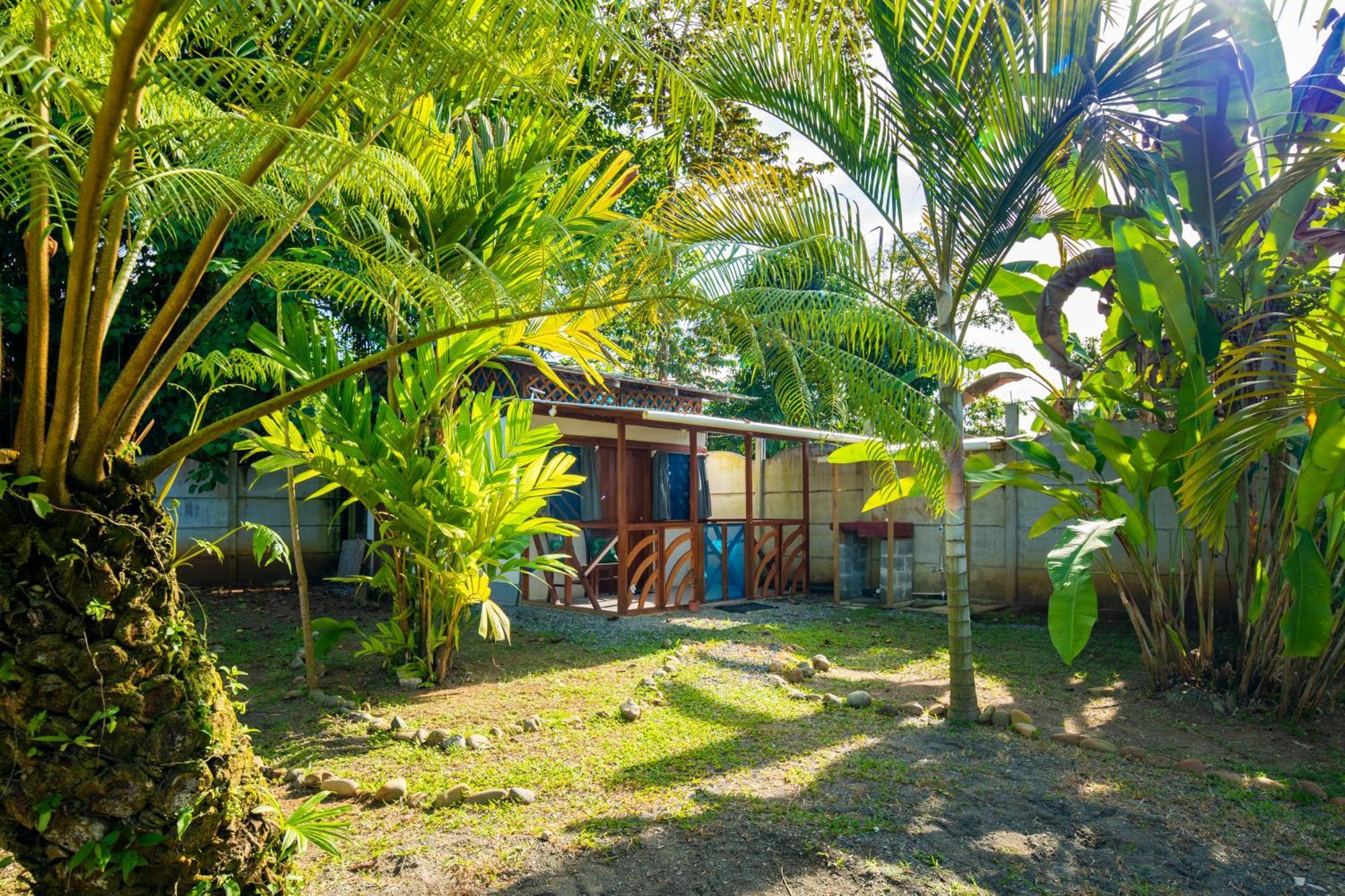 Casa Blanca Beachfront House With Shared Pool Access Pangea Lodge Manzanillo  Luaran gambar