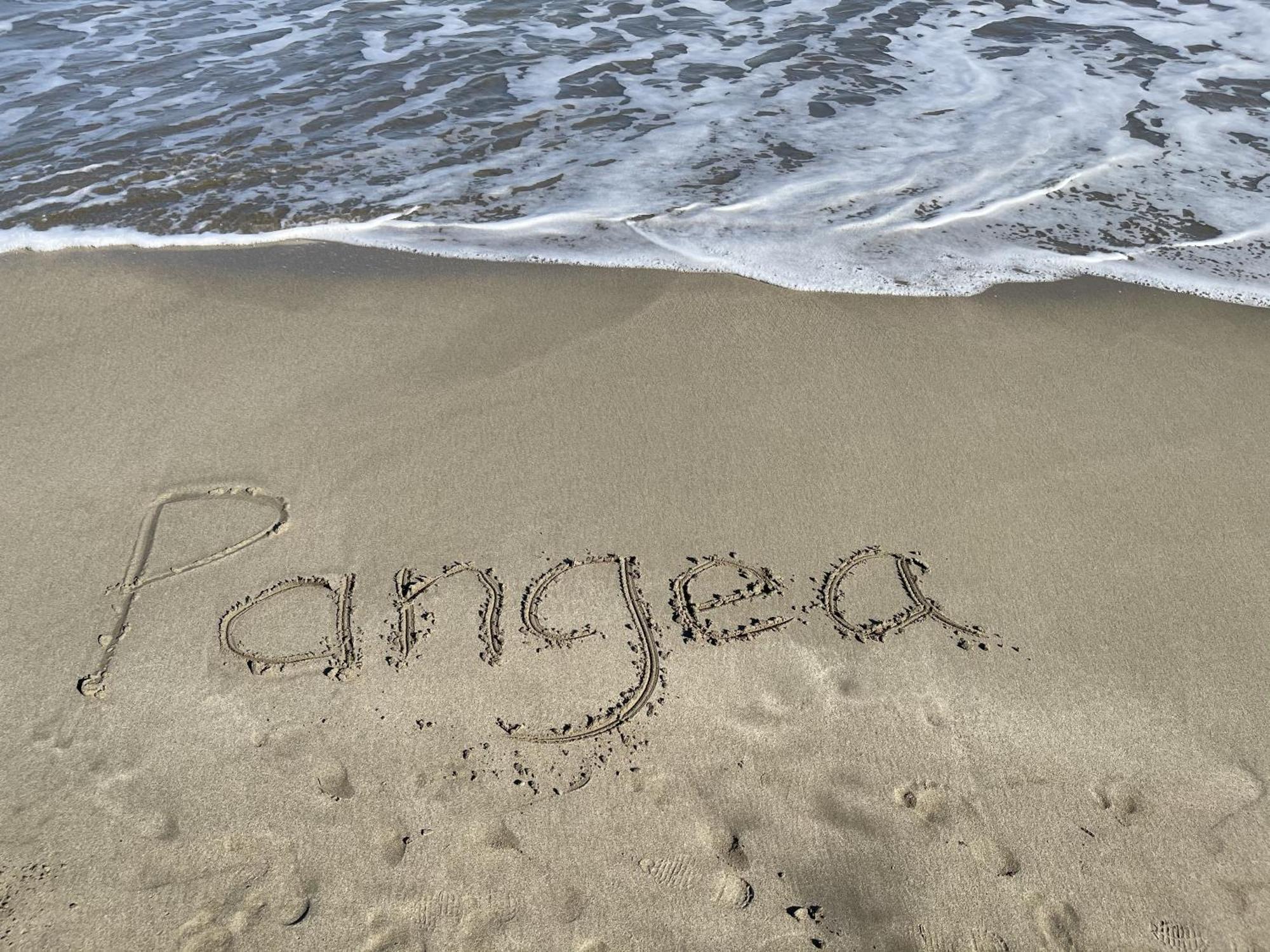 Casa Blanca Beachfront House With Shared Pool Access Pangea Lodge Manzanillo  Luaran gambar